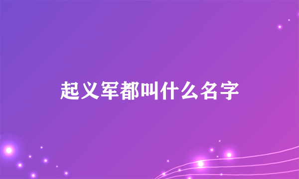 起义军都叫什么名字