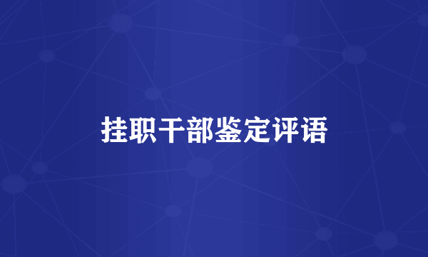 挂职干部鉴定评语