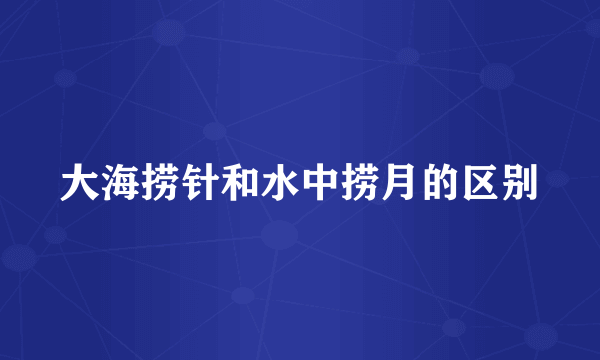 大海捞针和水中捞月的区别