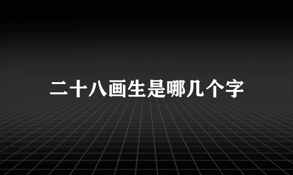 二十八画生是哪几个字