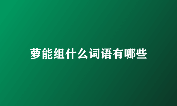萝能组什么词语有哪些