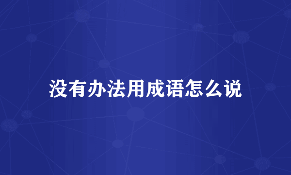 没有办法用成语怎么说