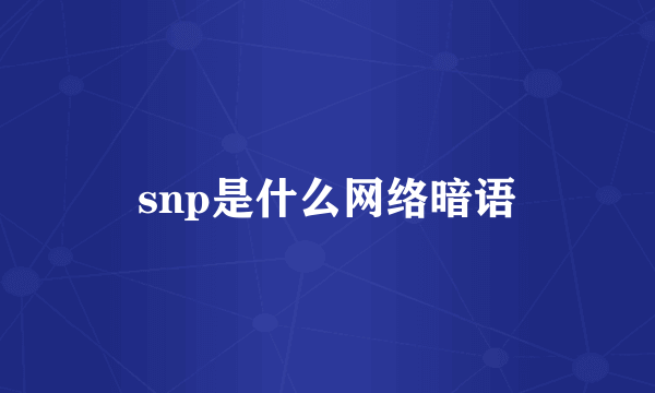 snp是什么网络暗语