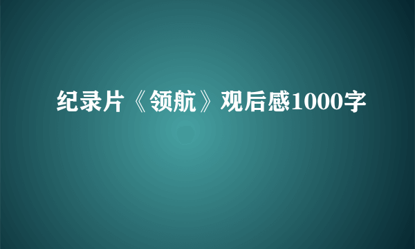 纪录片《领航》观后感1000字