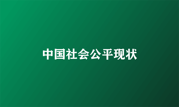 中国社会公平现状