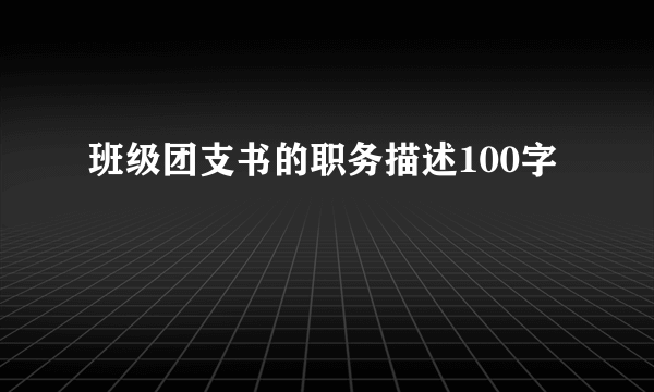 班级团支书的职务描述100字