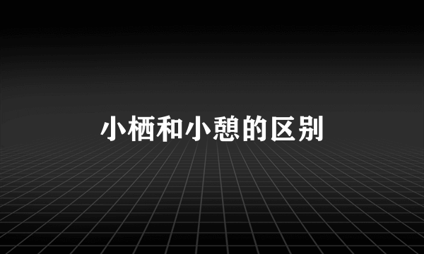 小栖和小憩的区别