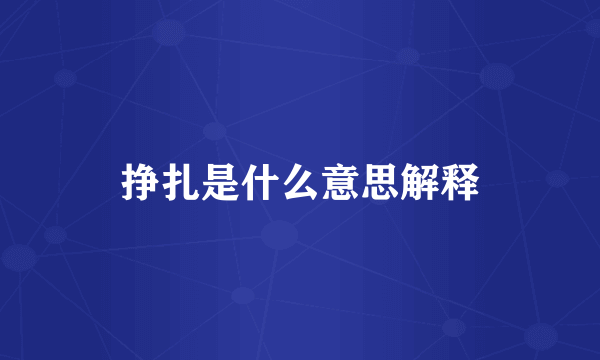挣扎是什么意思解释