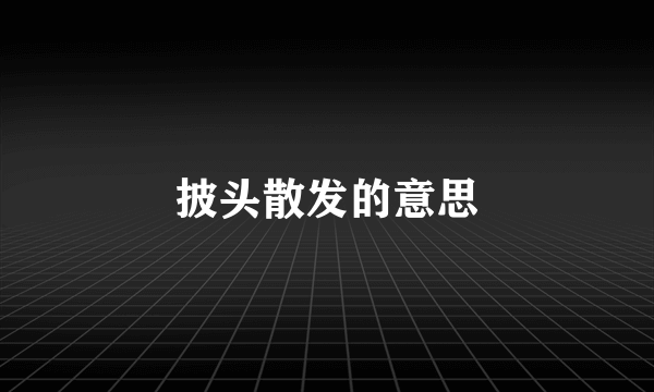 披头散发的意思