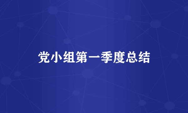 党小组第一季度总结