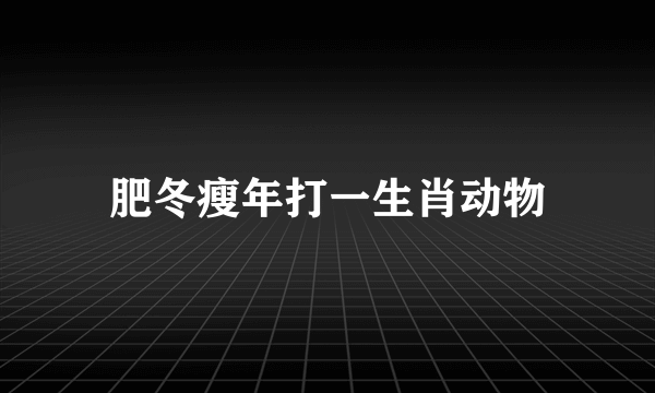 肥冬瘦年打一生肖动物