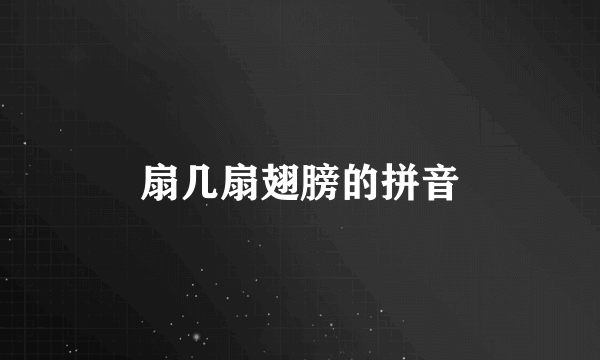 扇几扇翅膀的拼音