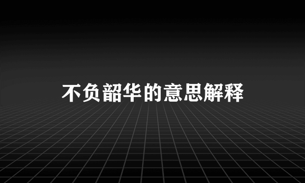 不负韶华的意思解释
