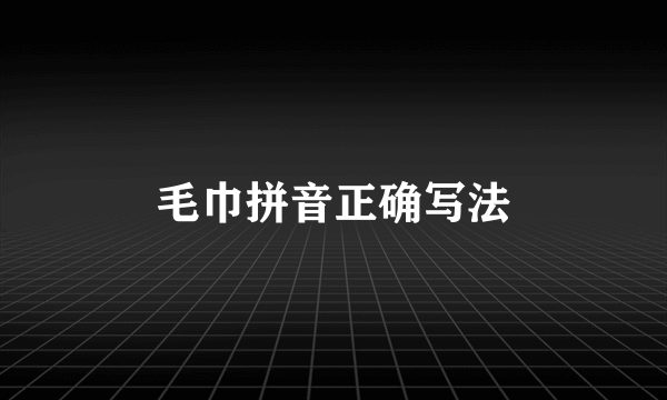 毛巾拼音正确写法