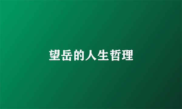 望岳的人生哲理