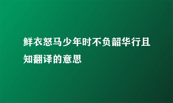 鲜衣怒马少年时不负韶华行且知翻译的意思