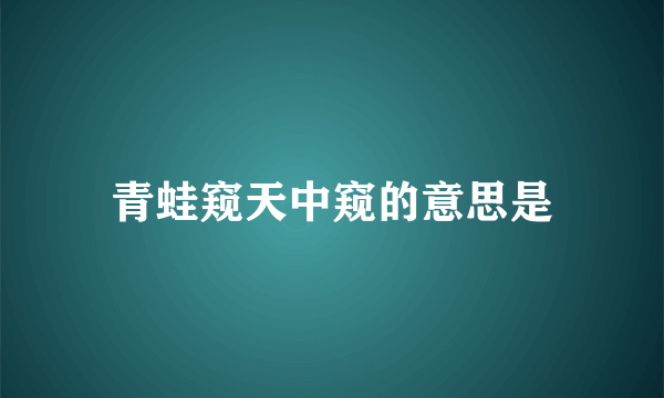 青蛙窥天中窥的意思是