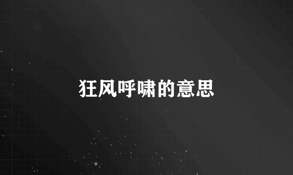 狂风呼啸的意思