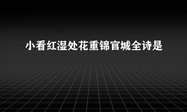 小看红湿处花重锦官城全诗是