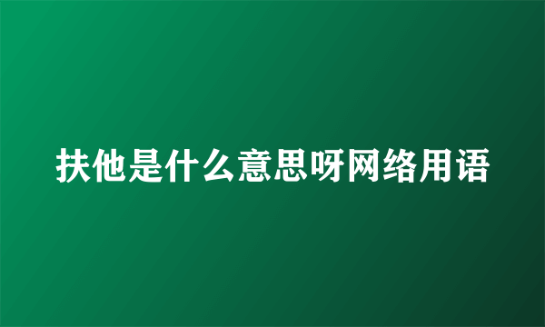 扶他是什么意思呀网络用语
