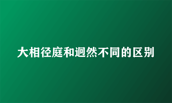 大相径庭和迥然不同的区别