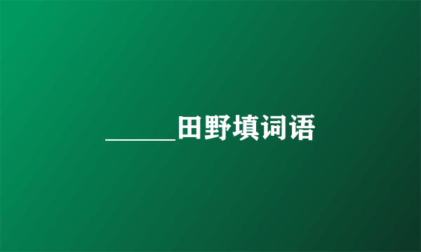 _____田野填词语