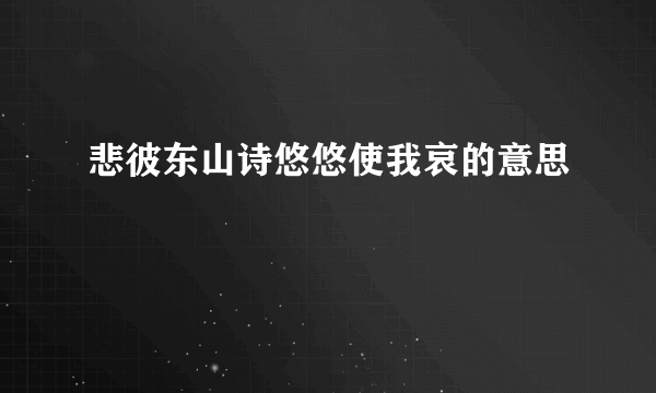 悲彼东山诗悠悠使我哀的意思