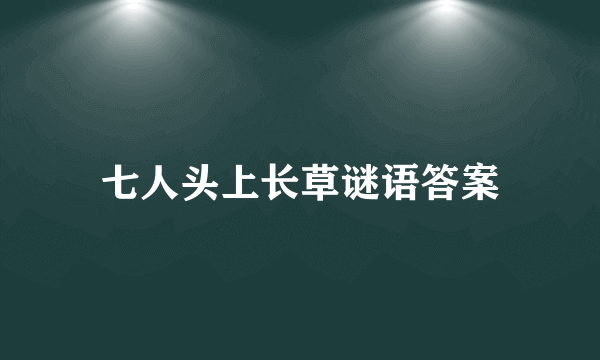 七人头上长草谜语答案