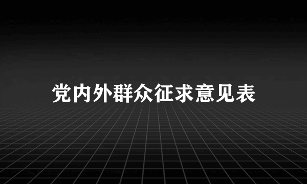 党内外群众征求意见表