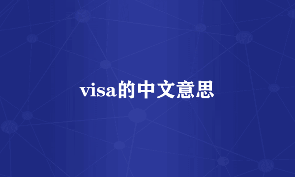 visa的中文意思