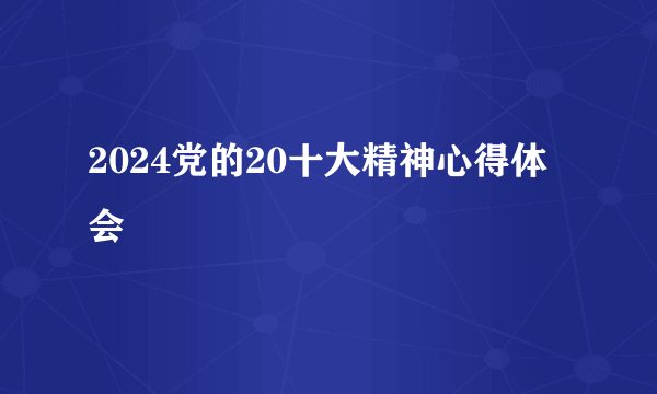 2024党的20十大精神心得体会
