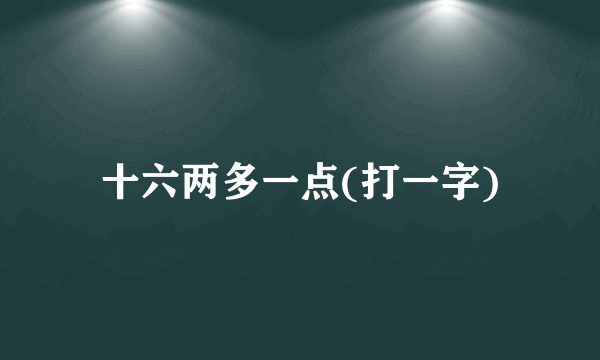 十六两多一点(打一字)