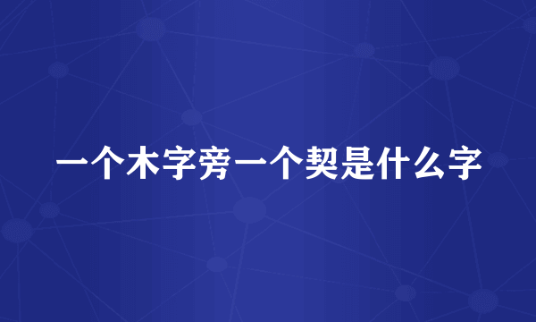 一个木字旁一个契是什么字