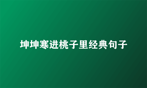坤坤寒进桃子里经典句子