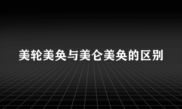 美轮美奂与美仑美奂的区别