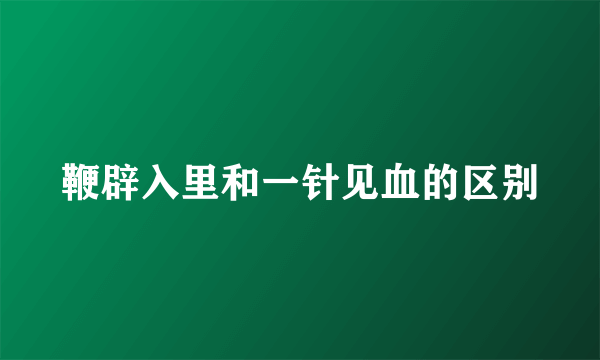 鞭辟入里和一针见血的区别
