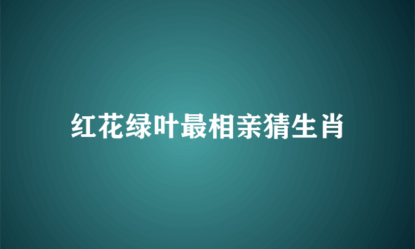 红花绿叶最相亲猜生肖