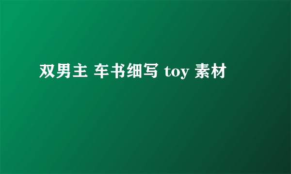 双男主 车书细写 toy 素材