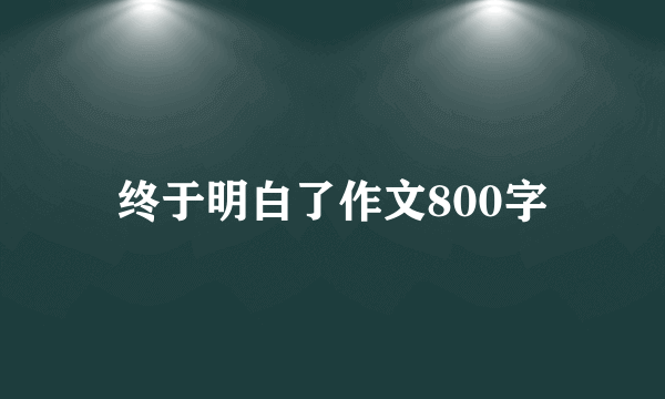 终于明白了作文800字