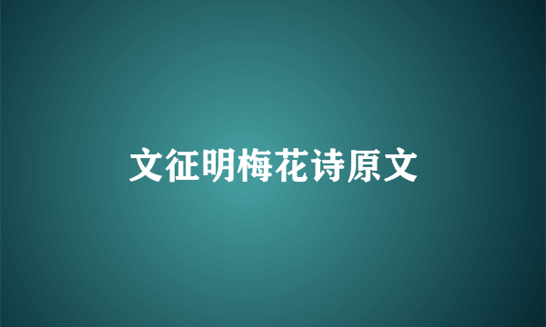 文征明梅花诗原文