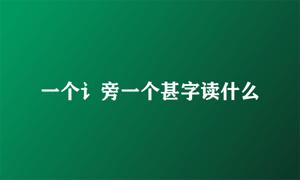 一个讠旁一个甚字读什么