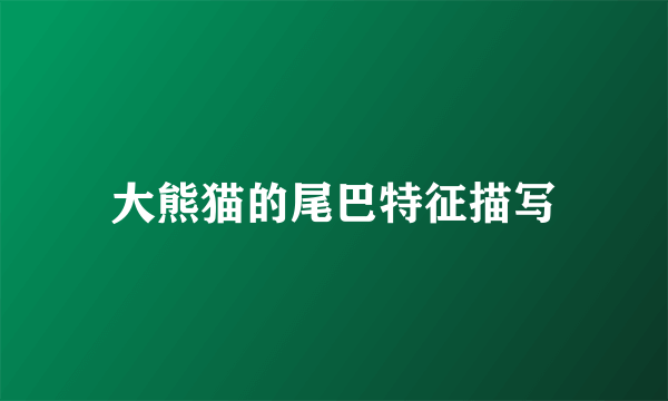 大熊猫的尾巴特征描写