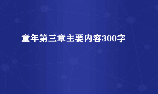 童年第三章主要内容300字