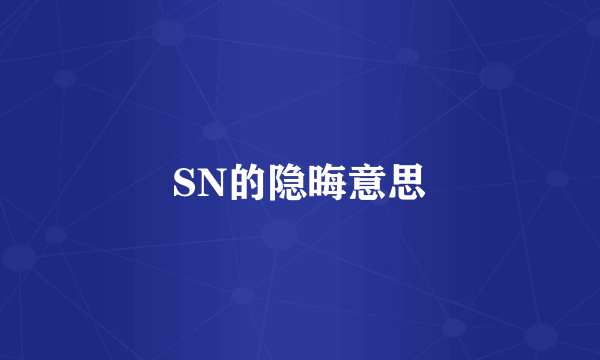 SN的隐晦意思