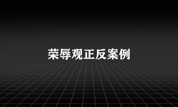 荣辱观正反案例