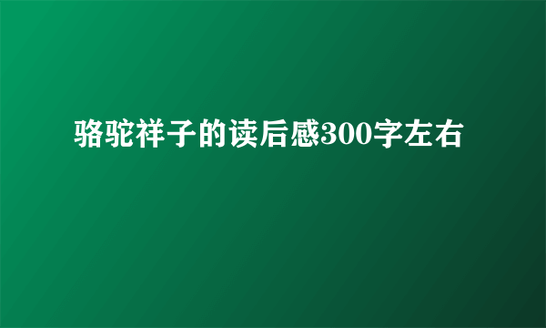骆驼祥子的读后感300字左右