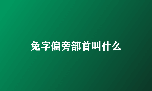 兔字偏旁部首叫什么