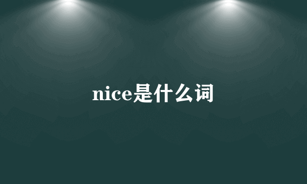 nice是什么词