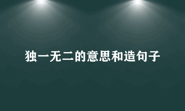 独一无二的意思和造句子