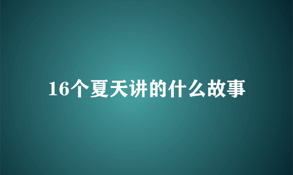 16个夏天讲的什么故事